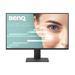BenQ GW2491 23.8" 100Hz FHD IPS Monitor