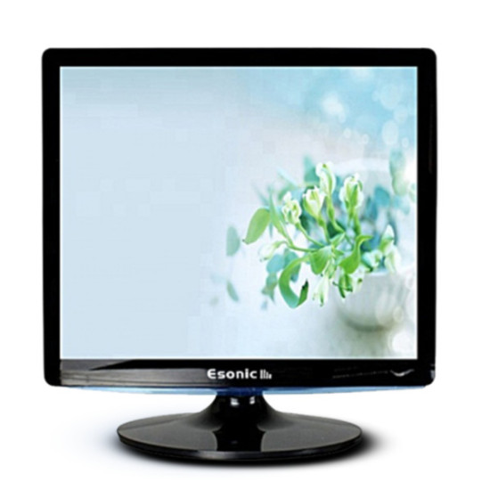 Esonic ESLM17 17 Inch Square LED Monitor