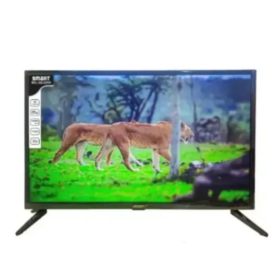 Smart SEL-32B24K 32" HD Basic LED TV