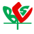BCS Member